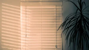 indoor blind installers