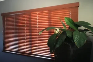 BTS Blinds indoor blinds